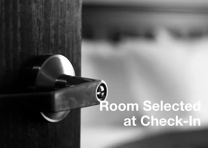 阿尔科德伽酒店