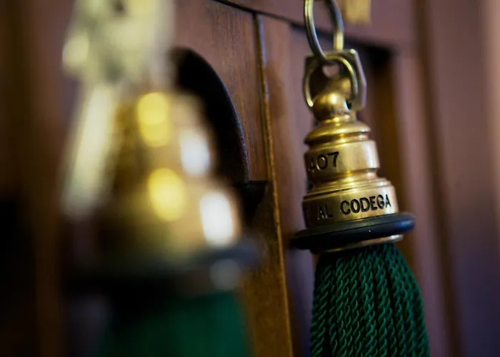 阿尔科德伽酒店 酒店