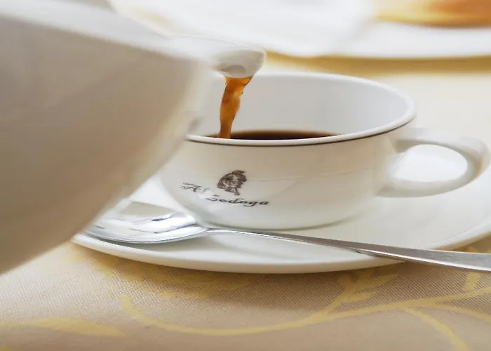 阿尔科德伽酒店